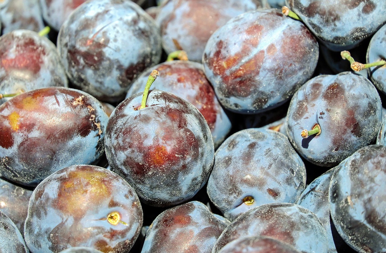 Can Local Food Production Reduce Environmental Impact?